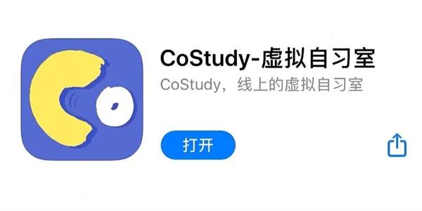 Costudy