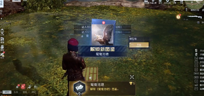 黎明觉醒鸳鸯池塘在哪