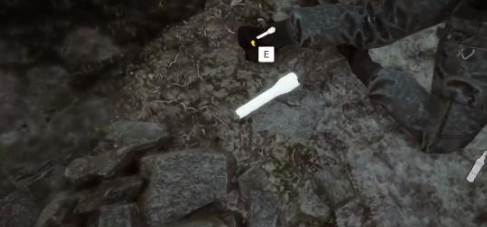 森林之子手电筒在哪