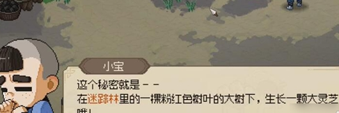 大侠立志传小宝怎么入队