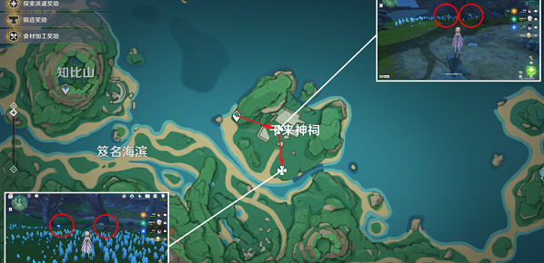 原神幽灯蕈位置2023