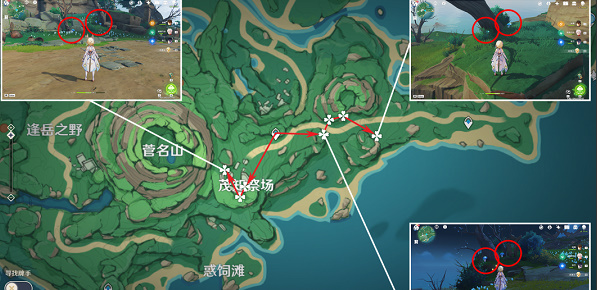 原神幽灯蕈位置2023