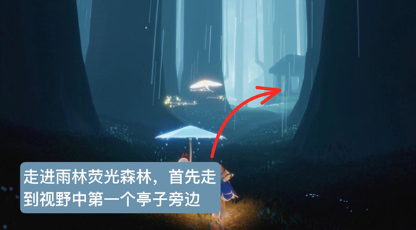 光遇雨林捉迷藏先祖