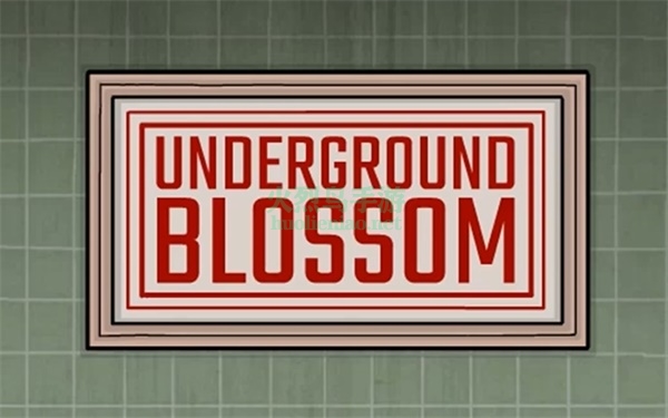 undergroundblossom第一关攻略