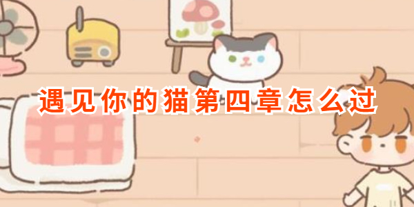 遇见你的猫第四章怎么过