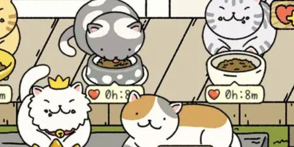 萌宅物语猫咪不见了怎么办