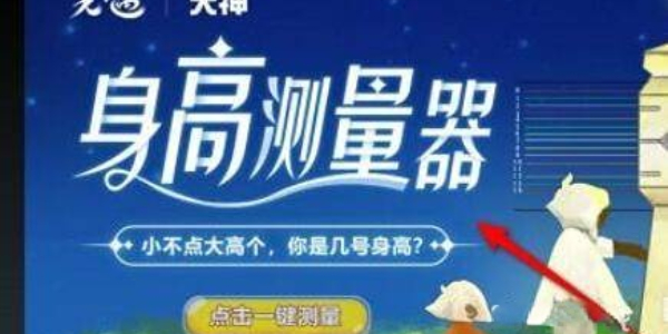 光遇身高查询器