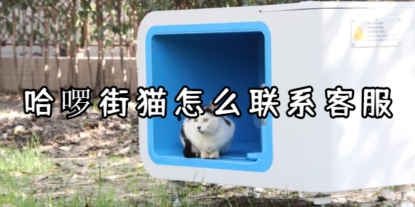 哈啰街猫怎么联系客服