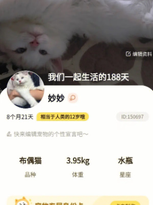 哈啰街猫怎么签到