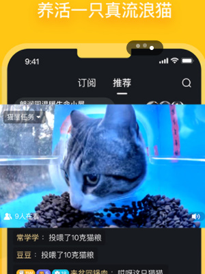 哈啰街猫怎么领养