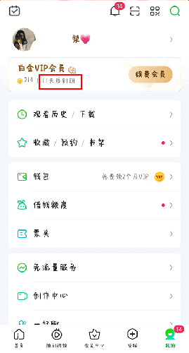 爱奇艺国际版app