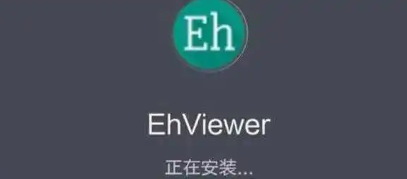 ehviewer加载不出来图片怎么办