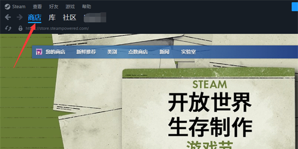 steam年度回顾在哪看