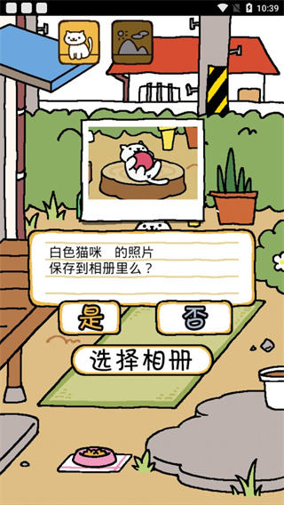 猫咪后院安卓